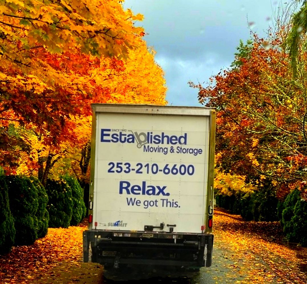 an established moving & storage truck drives down a leafy road