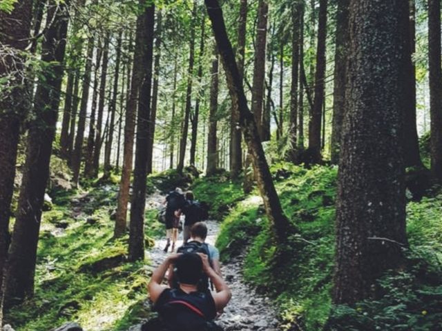 https://establishedmoving.com/wp-content/uploads/2019/05/Best-Hiking-Spots-in-Washington-State-640x480.jpg