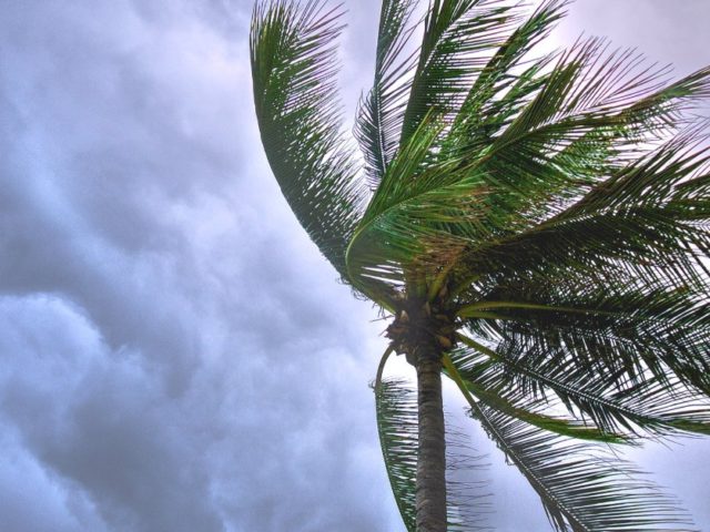 https://establishedmoving.com/wp-content/uploads/2020/07/How-to-Prepare-For-Hurricane-in-Florida-640x480.jpg