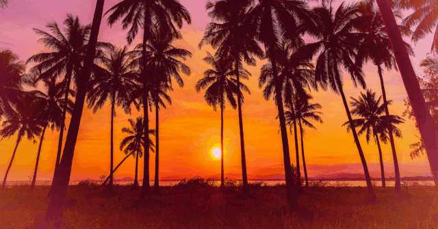 A view of the sun setting on Palm Beach County's shores.